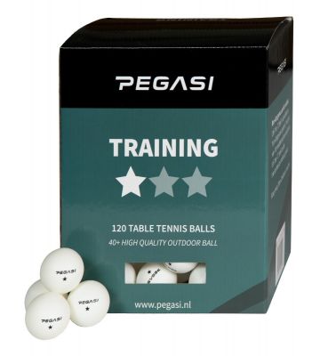 Pegasi 1 ster pingpong ballen 120st. Wit