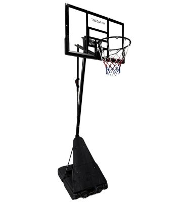 Pegasi basketbalpaal Home Pro 2.30 - 3.05