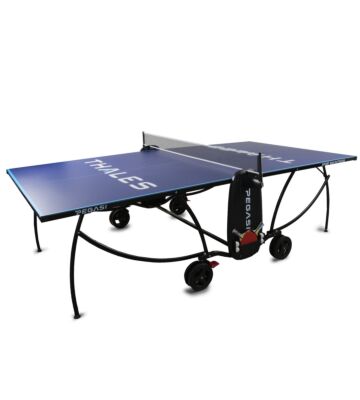 Bedrukte tafeltennistafel