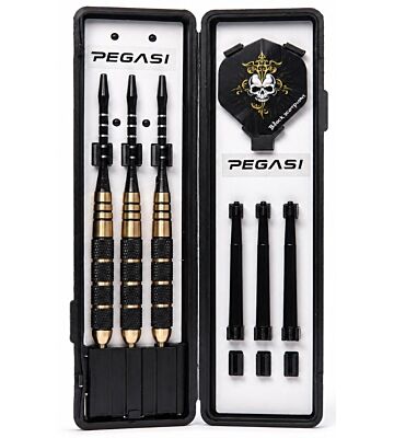 Pegasi dartpijlen set 22gr. Golden Skull