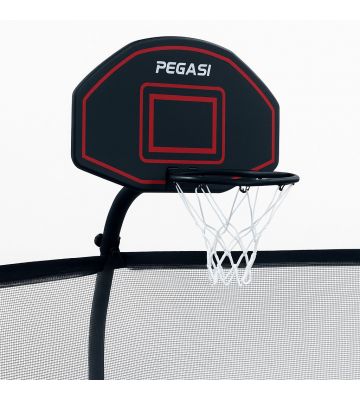 Pegasi basketbalbord trampoline 75x45cm