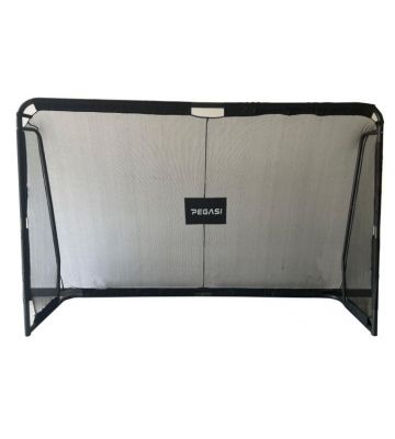 Voetbaldoel 300 x 200 cm Pegasi