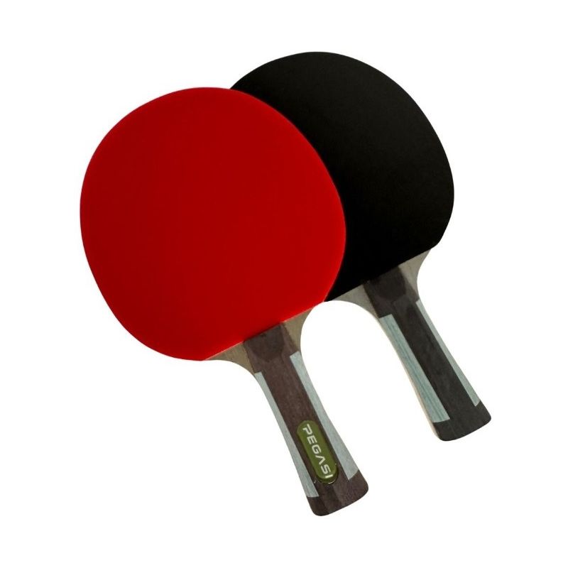 Pegasi tafeltennisbatje 6 ster Expert