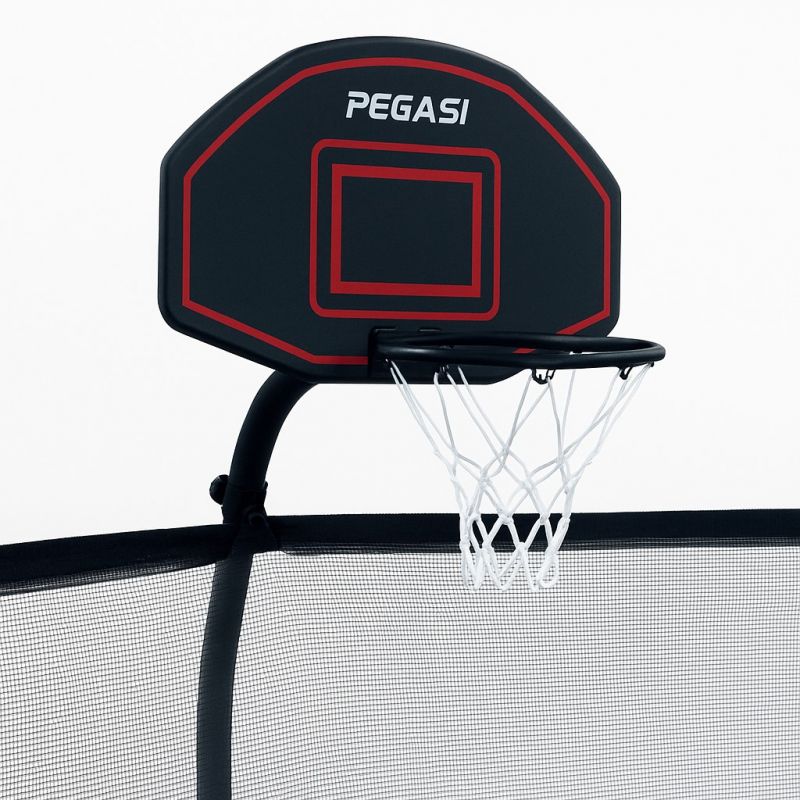 Pegasi basketbalbord trampoline 75x45cm