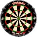 Dartbord 